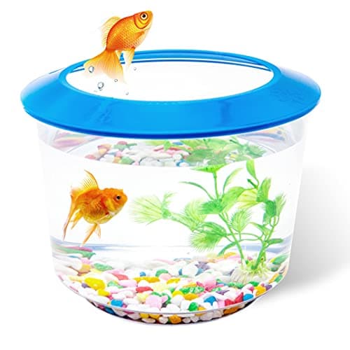 Image of Goldfish Tank – Small Fish Tanks and Aquariums – Fish Bowl – Starter Kits with Gravel Ornamental Plant – Complete Set up for Kids Fishes Tank (Blue)