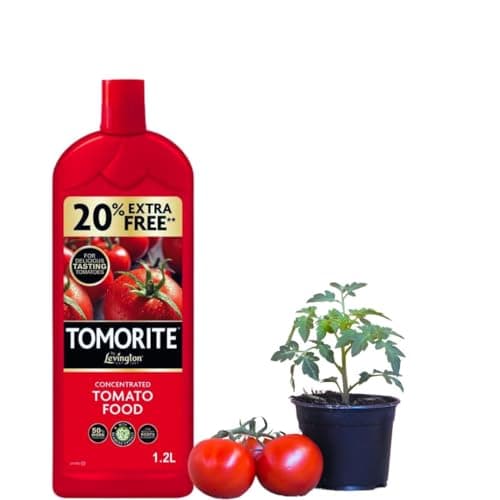 Image of Levington Tomorite Concentrated Tomato Food - With Thank You Sticker - Concentrated Tomato Food 1.2L