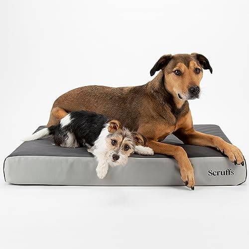 Image of Scruffs ArmourDillo Orthopaedic Dog Bed (L)