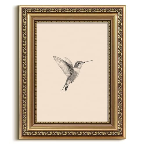 Image of VIYYIEA Gold Framed Wall Art, Hummingbird Canvas Print Home Decor Vintage Art Painting Picture Bathroom Wall Decor, Animals Artwork for Living Room Bedroom Kitchen Office - 10L x 8W