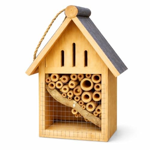 Image of Insect Hotel Wooden Bee & Butterfly House – Hanging Garden Habitat Box 20cm Natural Wood Bug Shelter for Bees Ladybirds Pollinators – Outdoor Wildlife Nesting House