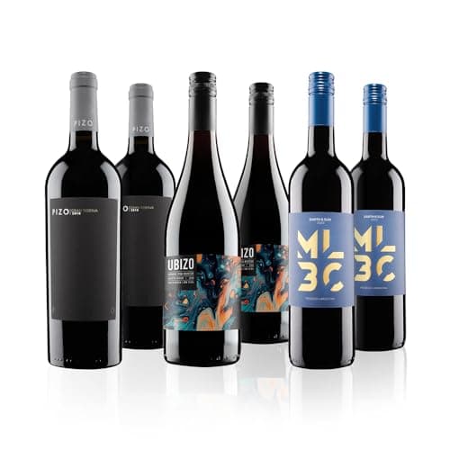Image of Virgin Wines - Ultimate Red Wine Gift Case - 6 Bottles (75cl) – Premium Reds from Argentina, Spain and South Africa