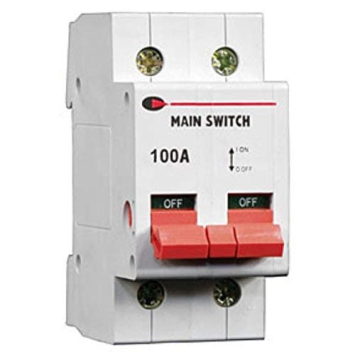 Image of Lewden 1002P - 100A 2P / Double Pole Main Switch