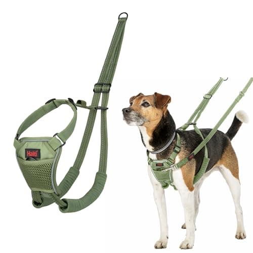 Image of Halti No Pull Harness - Stop Your Dog Pulling on the Leash. Adjustable, Lightweight and Easy to Use. Reflective Dog Training Harness for Small Dogs (Size S, Forest Green)