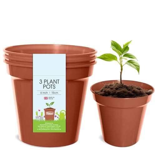 Image of Whitefurze - Basic Plant Pots - Indoor Plant Pots - Flower Pots for Small Plants, Cuttings & Seedlings - Durable Polypropylene Plant Pots for Indoor & Outdoor Use, 15cm Diameter - Set of 3