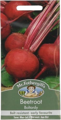 Image of Mr Fothergill's 11723 Beetroot Boltardy Seeds, red