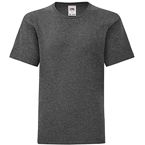Image of Fruit of the Loom Childrens/Kids Iconic T-Shirt (14-15 Years) (Dark Heather)