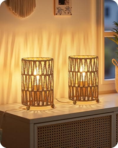 Image of GOEBLESON Small Rattan-Style Table Lamp Set of 2, Handwoven Paper Rattan Lampshade, 4W 2400K LED Bulb Included, Boho Bedside Lamp, Desk Lamp for Living Room, Reticulated Lampshade ZH11TLKP205N1