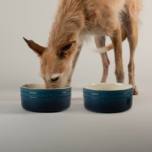 Image of Scruffs Ombre 2pc Ceramic Dog Bowl Set - Blue 19cm