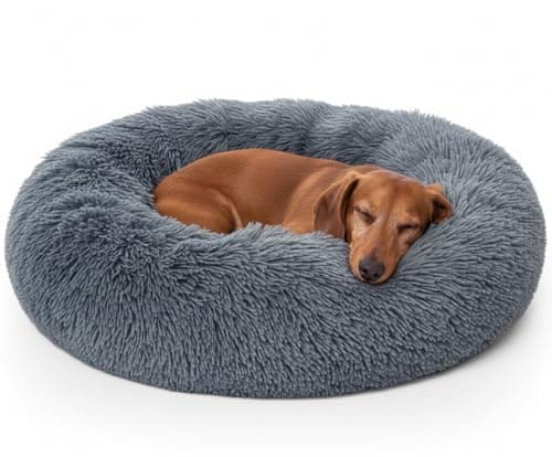 Image of Woof & Whiskers Donut Calming Bed 50cm Dark Grey for Small Kitten Puppy With Anti-Anxiety Properties, Non-Slip Base, Machine Washable Cat Basket Cuddler
