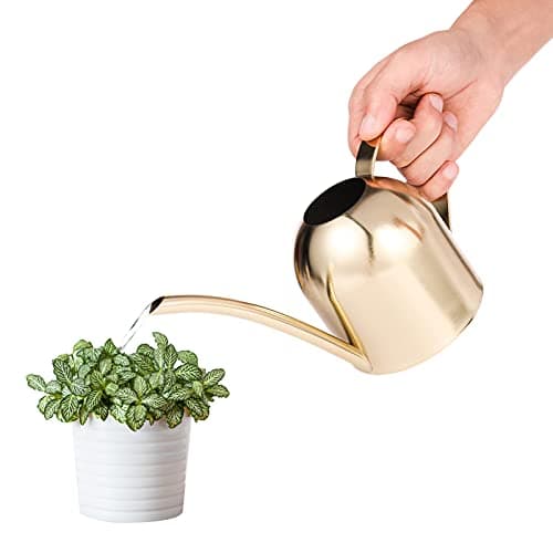 Image of Saicowordist 17.6OZ / 500ML Gold Indoor Watering Can Small, Ornate Stainless Steel Metal Long Spout Bonsai Mini Watering Can, Watering Pot for Indoor&Outdoor Plant(Gold)