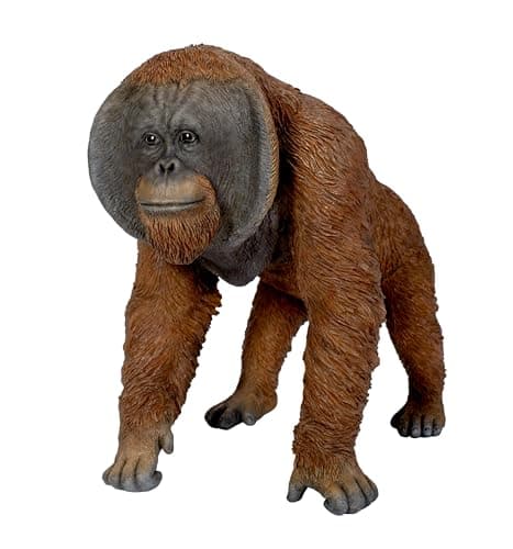 Image of Vivid Arts - Active Orangutan - XRL-ORN4-D