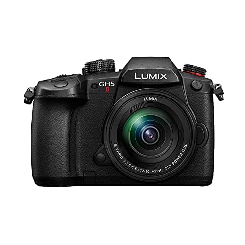 Image of Panasonic LUMIX GH5M2 Mirrorless Camera with wireless live streaming and a LUMIX 12-60mm F3.5-5.6 lens - Black