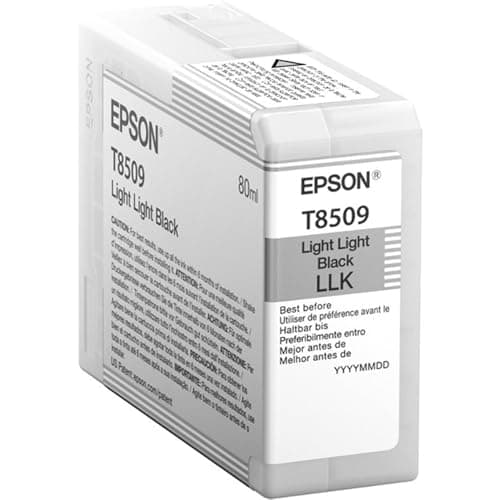 Image of EPSON Ink Cartridge, Light Black, Genuine