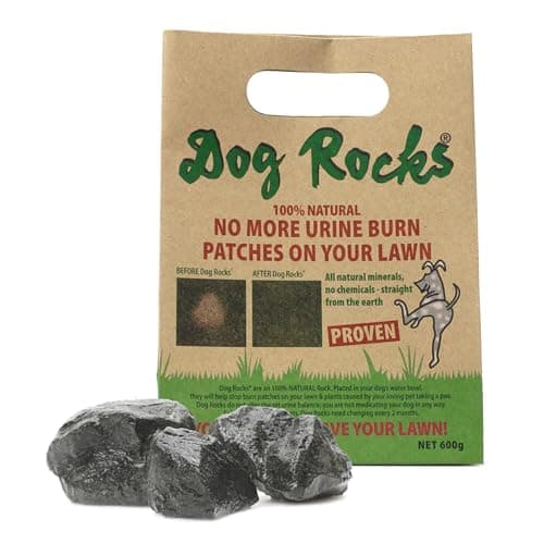 Image of Dog Rocks Urine Patch Preventer 600g Bulk Bag Clear