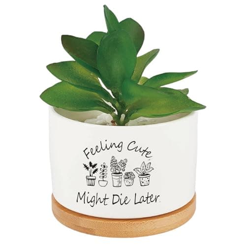 Image of CRASPIRE White Ceramics Planters Funny Succulent Plant Pot Cactus Flower Grow Pots Drainage for Indoor Outdoor Plants Windowsill Desk Decor Unique Planter Gift Feeling Cute Might Die Later (No Plants)