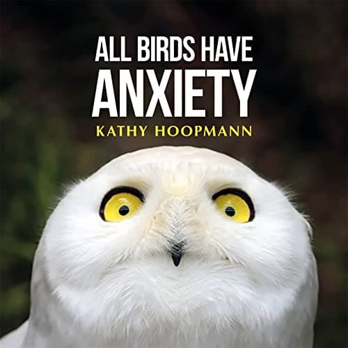 Image of All Birds Have Anxiety: An affirming introduction to anxiety
