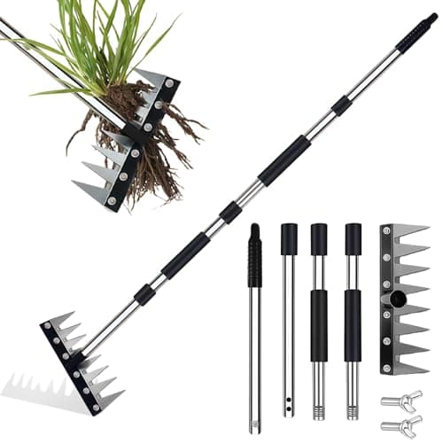 Image of Garden Rake, Manganese Steel Rakes for Gardening, 155cm/5FT Garden Rake Heavy Duty, 8 Teeth Metal Weeding Rakes with Stainless Steel Handle, for Loosening Soil Leveling Lawn