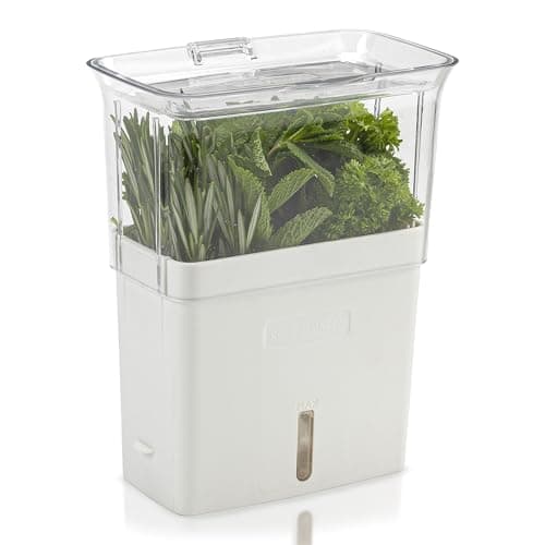 Image of Cole & Mason H105159 Tealby Fresh Cut Herb Keeper, Herb Pot/Storage/Herb Saver/Box, Acrylic, Includes Removable Dividers, 2 Year Guarantee,White/Clear (H) 230mm x (W) 185mm x (D) 120mm