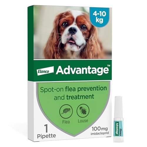 Image of Advantage Spot On Flea Treatment For Medium Dogs 4 - 10 kg (1 pipette, 100mg), Kills Fleas Within 24 Hours, Prevents Further Infestation For Up To Four Weeks
