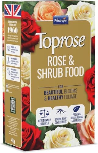 Image of Rose and Shrub Feed 1kg (Pack of 1) – Rose Feed & Rose Food | Granular Plant Food Indoor & Outdoor for Roses, Shrubs & Flowering Plants | Promotes Healthy Growth & Vibrant Blooms