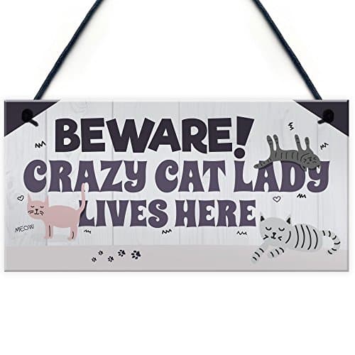 Image of Red Ocean Funny CRAZY CAT LADY Hanging Plaque Animal Lover Sign Cute Cats Home Decor Door Gift