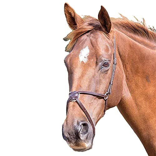 Image of Shires Blenheim Mexican Noseband Full Havana