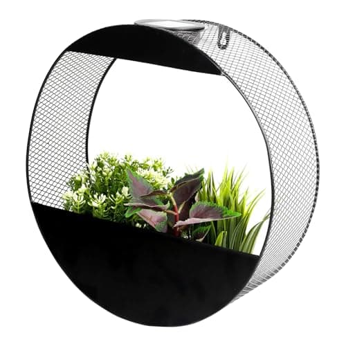 Image of Gardenwize - Solar Pwered Warm LED Flower Wall Planter Decorative Stylish Indoor & Outdoor Ceiling and Wall Planter with Recharable Solar Back-up For Home,Garden (Round)