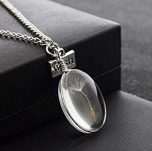 Image of LnLyin Glass Bottle Necklace Natural Dandelion Seed in Glass Necklace Make A Wish Silver Plated Jewelry (C)