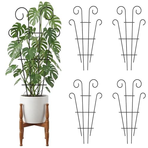 Image of Thealyn 4 Pack Small Plant Trellis for Potted Plants, 60 x 36 cm Metal Trellis for Indoor Plants, Climbing Plant Support for Monstera, Ivy, Hoya and Small Houseplants, Black