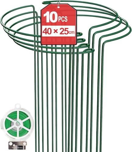 Image of 10Pcs 10'' x 16'' Plant Support Stakes, Metal Garden Plant Stakes, Half Round Plant Support Ring Cage for Peonies Monstera Hydrangeas Roses Sedum Vegetables Tomatoes (25×40cm)