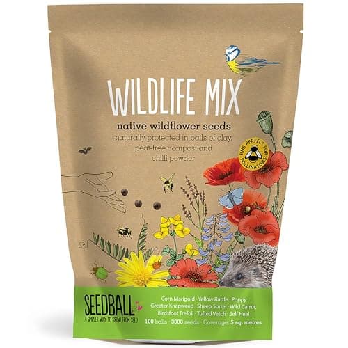Image of SEEDBALL Wildlife Mix Seed Bombs – 100 Seed Balls Per Pack | Bee Friendly British Wild Flower Seed Mix | Beautiful Coloured Garden Flower Seed Bombs for Bees, Birds & Other Garden Wildlife