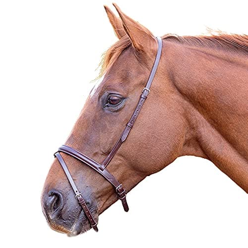 Image of Shires Blenheim Flash Noseband-Havana Full