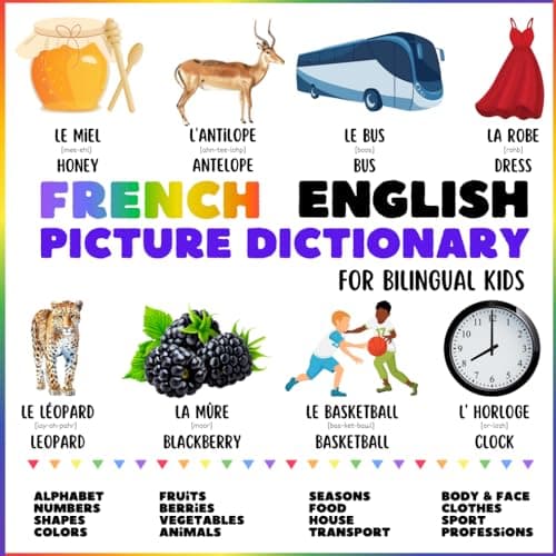 Image of French English Picture Dictionary for Bilingual Kids: Visual French Wordbook with Colorful Illustrations and Pronunciations. More Than 250 New Words (Picture Dictionaries for Bilingual Kids)