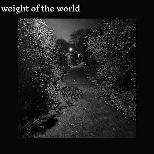 Image of Weight Of The World