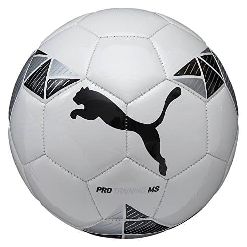 Image of Puma Pro Training Ms Ball - White/Black/Silver, Size 5