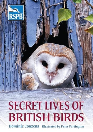 Image of Secret Lives of British Birds (RSPB)
