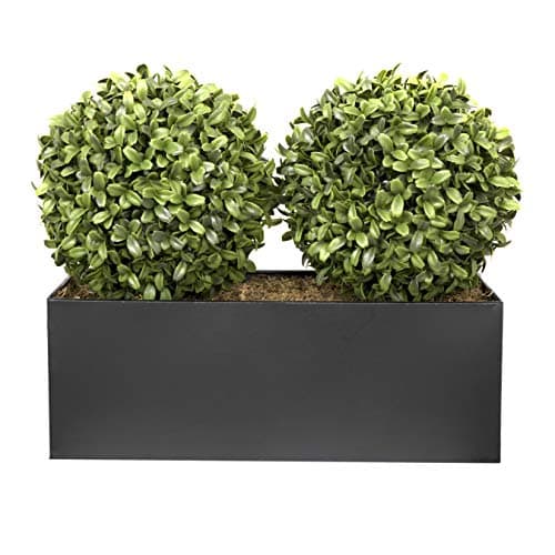 Image of (Window Box) 35cm Double Boxwood Topiary Balls in Black Tin Planter
