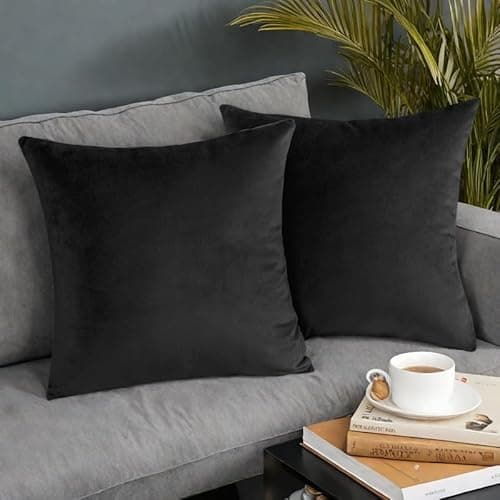 Image of AMFUN Set of 2 Velvet Cushion Covers,Black 45 x 45 cm Luxury Velvet Square Throw Pillow Cases, Decorative Throw Pillowcases with Invisible Zipper, for Livingroom Sofa Bedroom