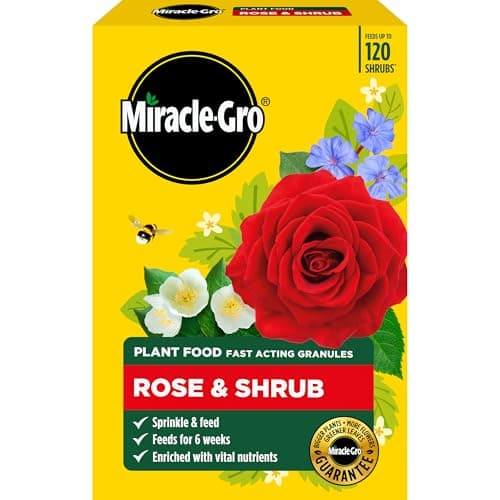 Image of Miracle-Gro Rose and Shrub Fast Acting Granules Plant Food, 3 kg