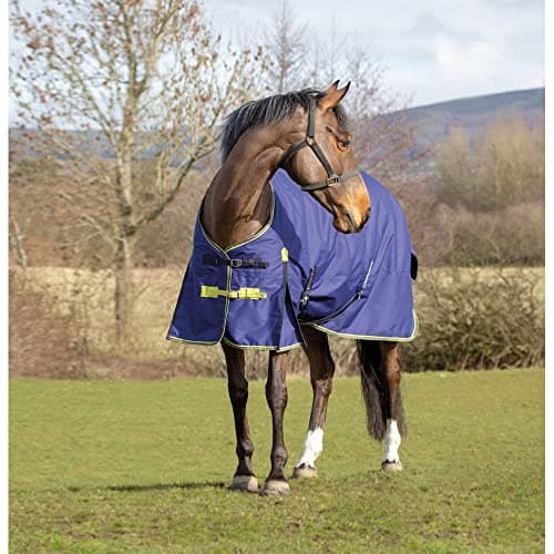 Image of Asker 100g Horse Standard Neck Turnout Rug - Navy Blue 6ft3