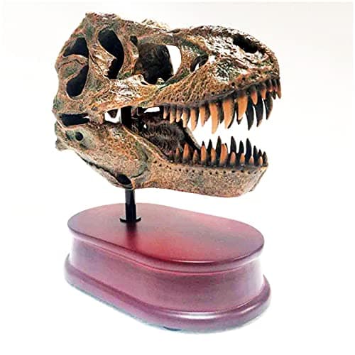Image of Tyrannosaurus Rex Skull Model - Dinosaur Skull Sculpture - Freestanding Figurin Head Scale Replica Model Kit Dinosaur Skull Specimen Decor