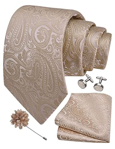 Image of Gusleson Mens Champagne Tie for Wedding Beige Paisley Necktie Pocket Square Cufflinks and Lapel Pin Brooch Set (UK6103-25)