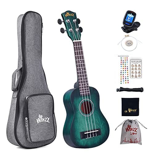 Image of Winzz Kids Adults Ukulele Soprano Beginner Kit, 21 Inches Ukulele Set Blue-green with 8 Accessories, Unique Color Design