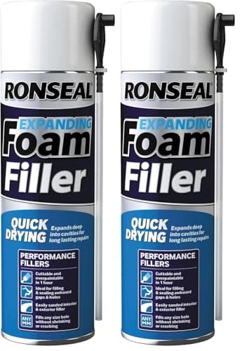 Image of Ronseal RSLTEIRA450 500ml Expanding Foam (Pack of 2)