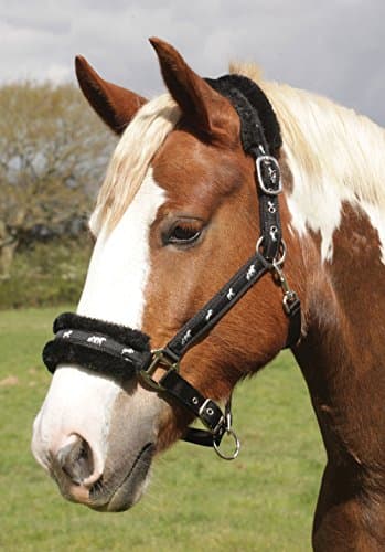 Image of Rhinegold Logo Headcollar fleece trim - Pony - Black