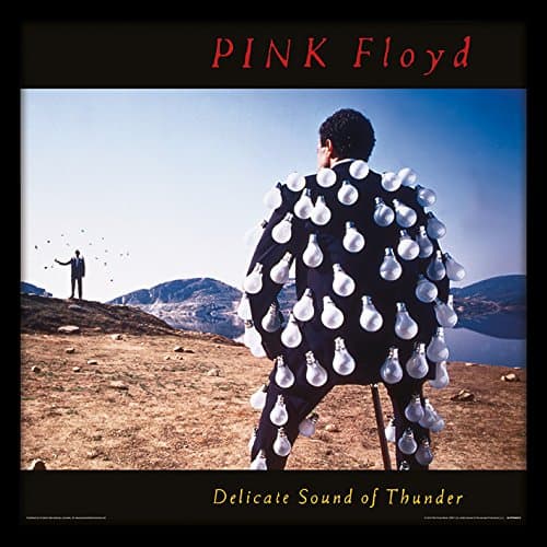 Image of PINK FLOYD Delicate Sound of Thunder Framed Album Cover Print, Official Licensed Wall Art, 12 Inch Music Memorabilia, Record Sleeve Decor, Collector Gift for Fans