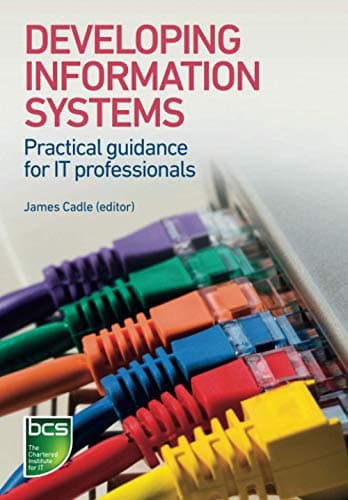 Image of Developing Information Systems: Practical guidance for IT professionals