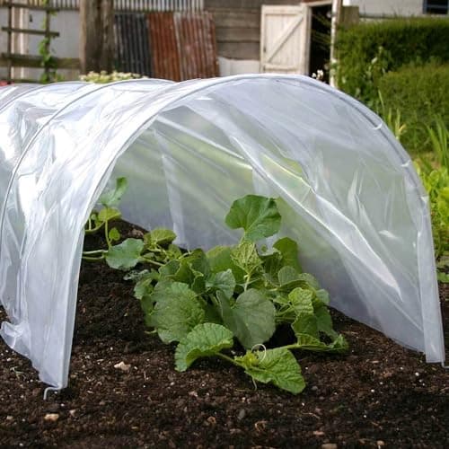 Image of Navoys 1.5m x 45cm x 42cm Grow Tunnel - Rust Proof Small Poly Tunnel for Garden, Cloches for Growing Vegetables, Protect Plants from Bad Weather, Grow Tent, Poly Tunnel Cloche