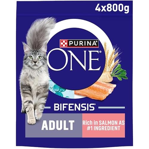 Image of PURINA ONE Salmon Dry Cat Food 800g (Pack of 4)